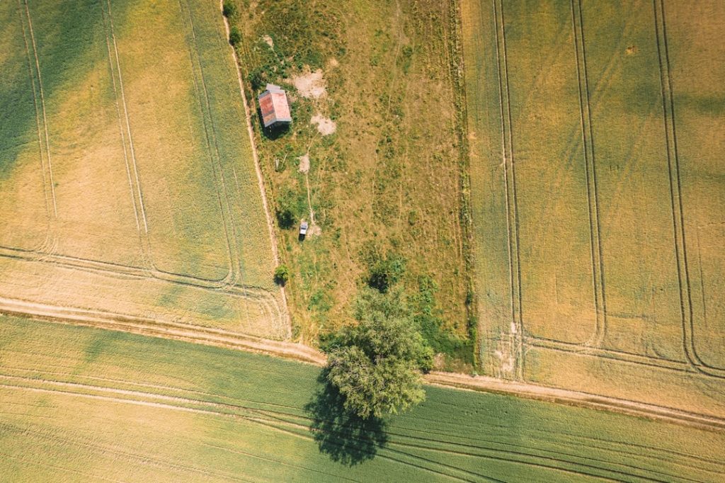 a-tree-in-a-field-0vljpkpluo4